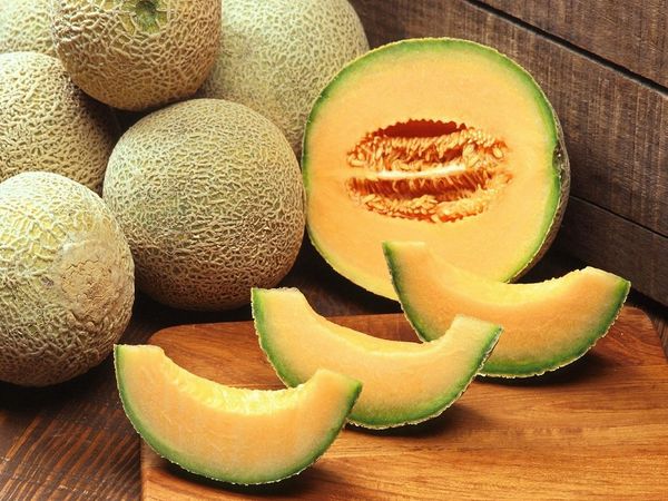 muskmelon benefits