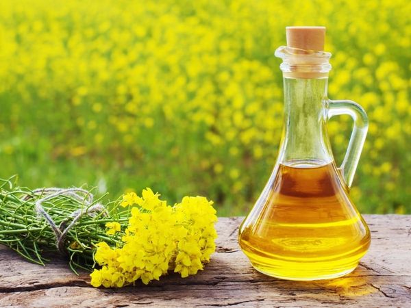 mustard oil, fake mustard oil 