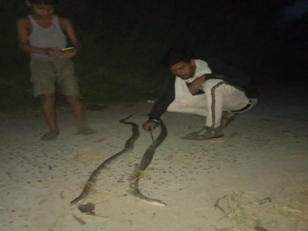 Naag Nagin Love Story Snake Gave his life to save her partner