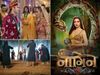Naagin 6 latest Episode 3 twist: maha shivratri Spoiler Prathaa and Rishab Wedding, Naagin Upcoming Shesh naagin bride look entry- 