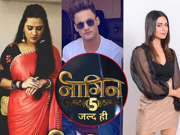 Naagin 5 fresh jodi Divyanka Tripathi Asim Riaz And TV Actress kratika sengar part of supernatural show