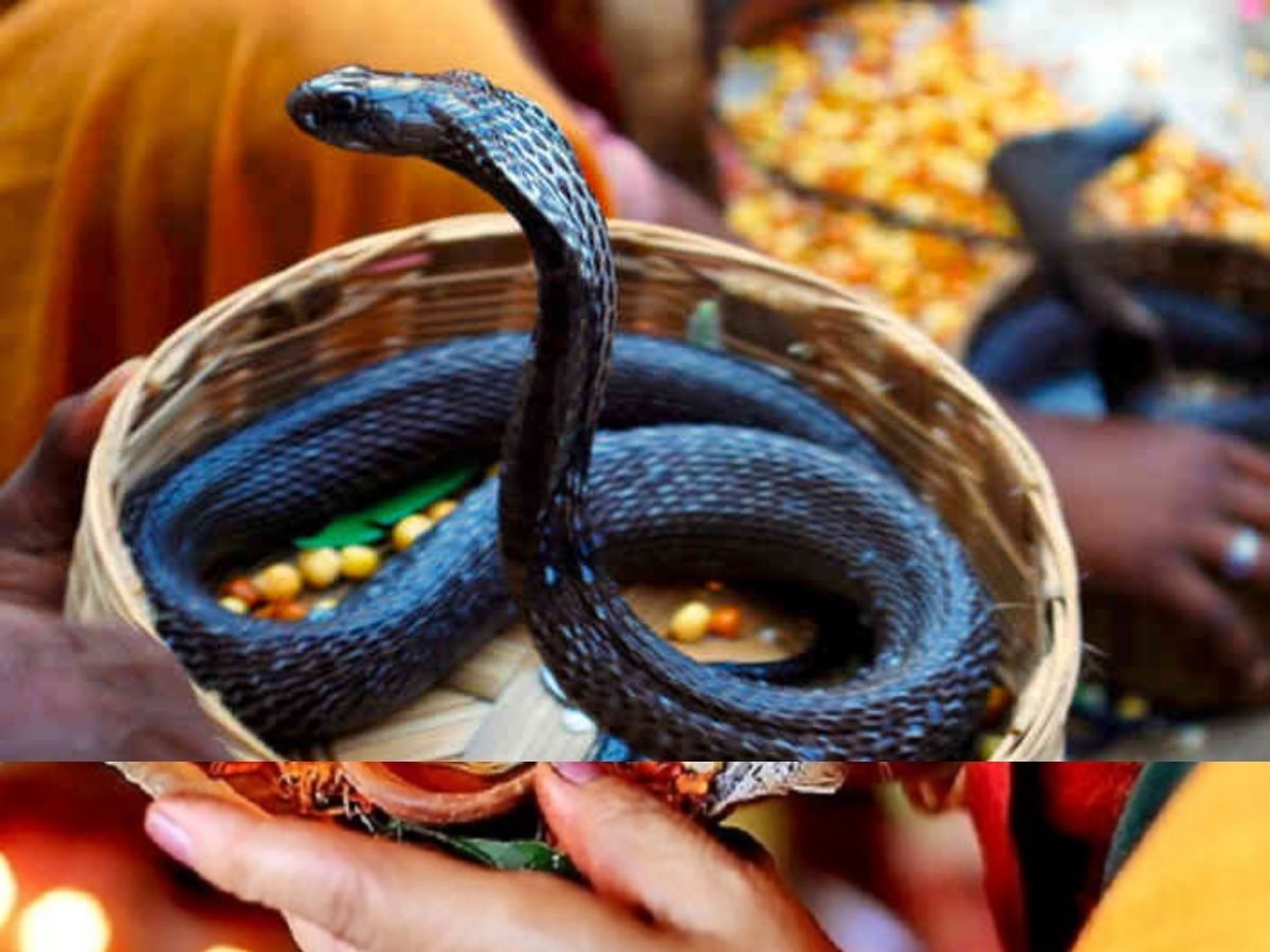 Nag Panchami 2022: Do not offer water and milk with a copper ...
