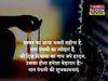 Nag Panchami, Nag Panchami 2022, happy Nag Panchami, happy Nag Panchami, Nag Panchami shayari in hindi, Nag Panchami wishes shayari in hindi, happy Nag Panchami shayari in hindi, happy Nag Panchami shayari in hindi, happy Nag Panchami wishes shayari in hi