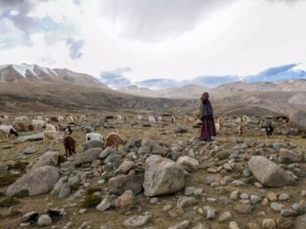 सिक्किम के नाकू ला में चीन के साथ झड़प, भारतीय सेना ने घुसपैठ को किया नाकाम