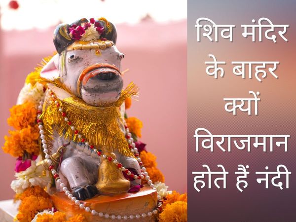 Nandi Importance