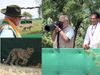 narendra modi, cheetah, mp, india
