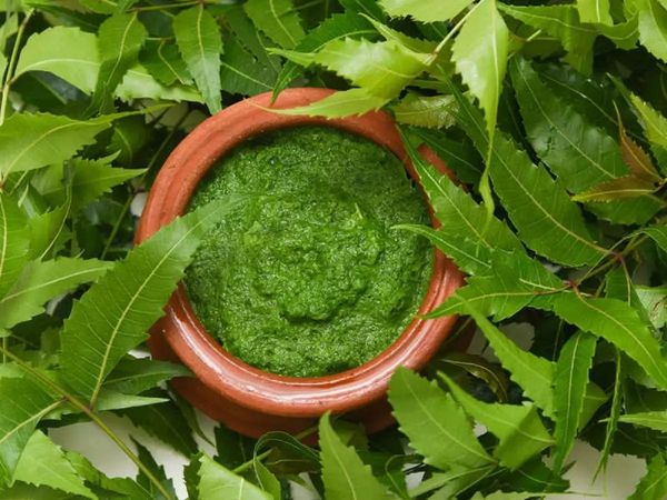 Neem ke fayde Benefits Of Neem for hair neem se payein khoobsurat baal 