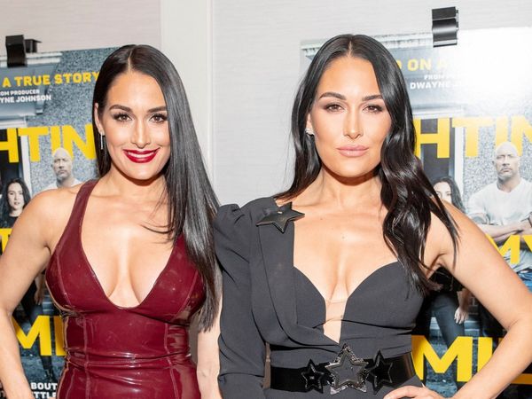 nikki and brie bella