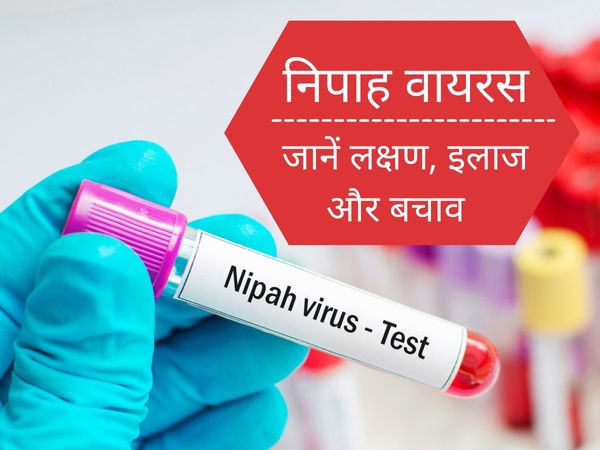 Nipah Virus, What Is Nipah Virus, what is nipah virus symptoms, nipah virus symptoms in humans, nipah virus prevention, nipah virus treatment, nipah virus treatment in kerala, is nipah virus still in kerala 2021, new virus in kerala 2021,