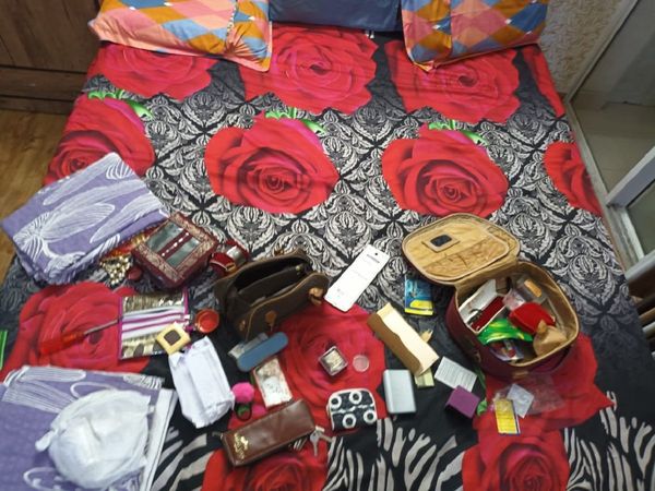 Theft in Noida Society flat 