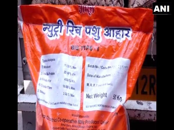 शर्मनाक: पुणे में सरकारी स्कूल के बच्चों को मिड डे मील में दिया गया पशुओं का चारा