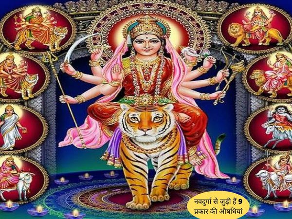 Medicines related to Navadurga, नवदुर्गा से जुड़ी औषधियां