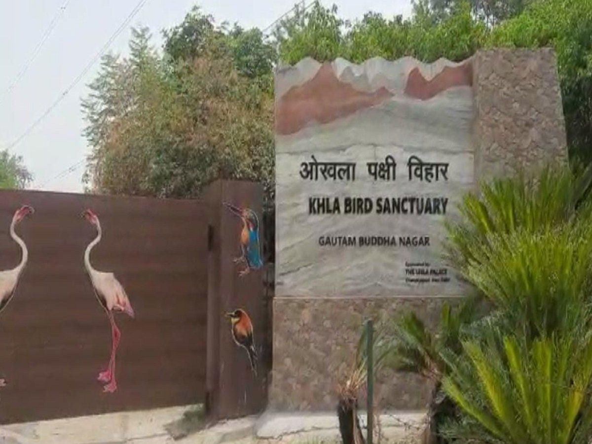 Okhla Bird Sanctuary: okhla bird sanctuary nature hut is ready for tourists  in noida-ओखला पक्षी विहार में नेचर हट बनकर तैयार, अब नोएडा में प्रकृति के  नजारे ले सकेगें टूरिस्ट ...