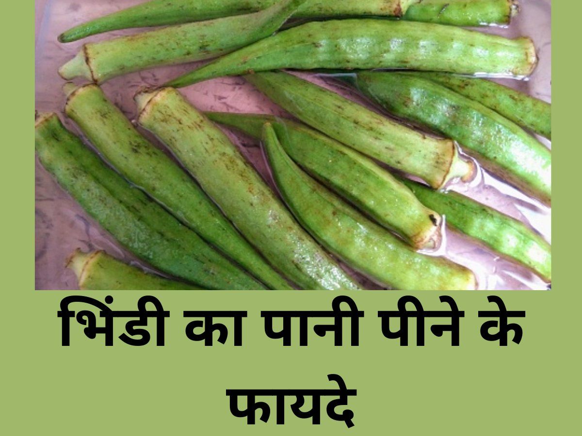 Lady Finger Benefits health benefits of lady finger water Lady