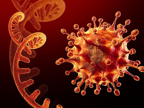 2 Omicron cases in up