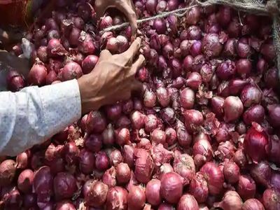 onion onion