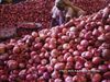onion garlic theft