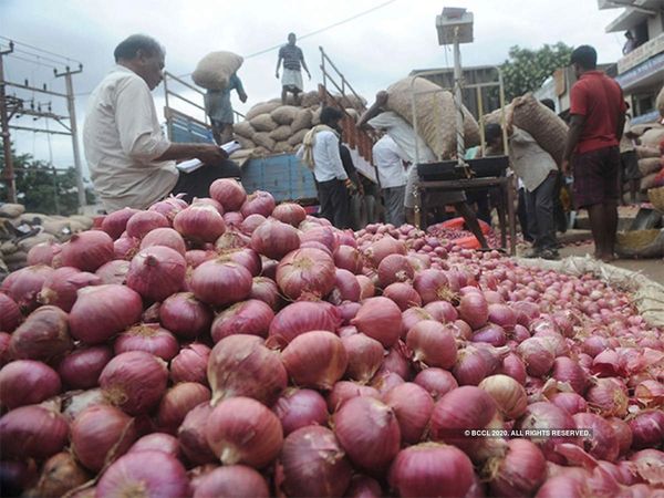 Government came into action against hoarding, onion price dropped by Rs 10 per kg