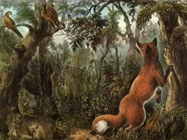 Can You Find 16 Animals In Optical Illusion Viral Photo