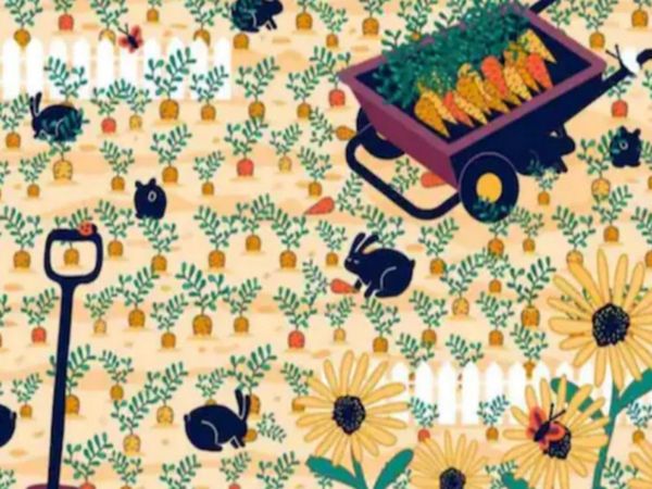 Can You Find Diamond Ring In trending optical illusion Viral Photo