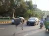 ostrich Running on canal road lahore pakistan video goes viral