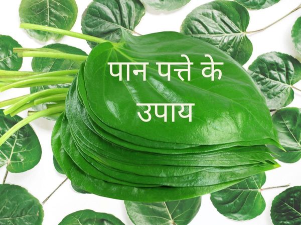 Paan Patte Ke Upay