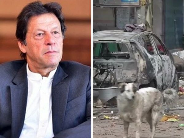 Imran Khan interfers in India's internal matter tweets on Delhi violence 