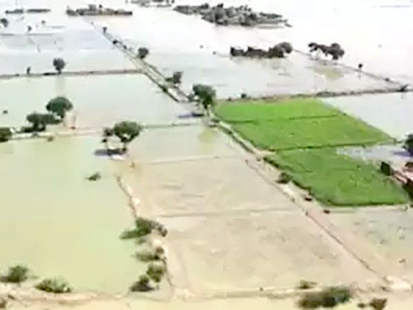 Pakistan Flood Havoc:पाकिस्तान में बाढ़ का कहर, सिंध का 100 किमी हिस्सा झील में तब्दील, 3.3 करोड़ लोग प्रभावित