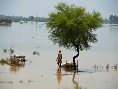 Lakhs of Pakistanis badly affected by floods after monsoon rains 1136 killed so far world is sending help