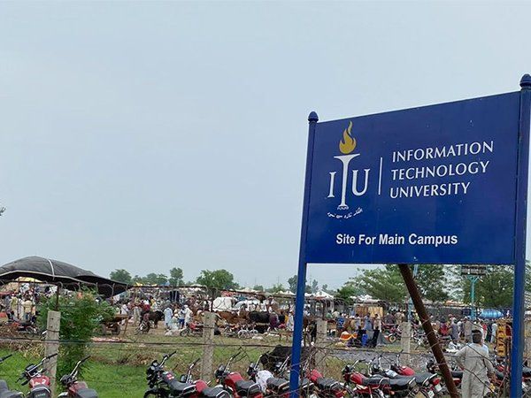 pakistan itu bakra mandi