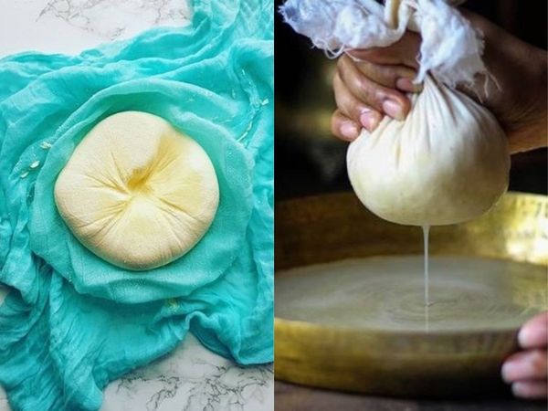  Homemade Paneer Recipe