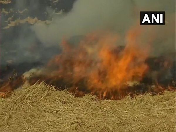 Air Pollution:खेतों में जलती है पराली तो दिल्ली का घुंटता है दम, 15 अक्टूबर से ग्रेप लागू करने का सलाह