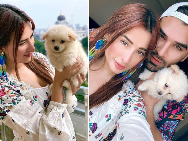 Bigg Boss 13 Contestant Mahira Sharma Paras Chhabra new pet Piccolo  photos