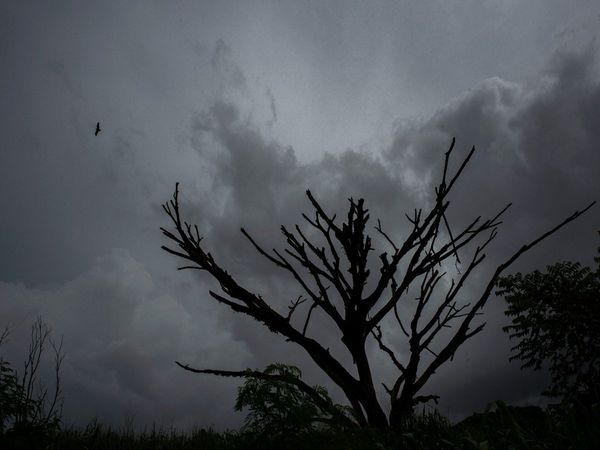 patna weather report, patna weather tomrrow, patna weathe live, patna thunder storm patna lightning, patna weather june, patna weather in may