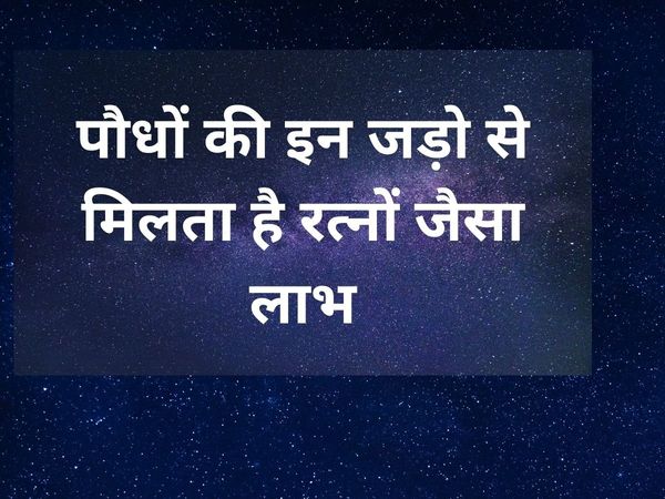 Plant Roots and Gemstone