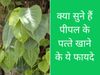 Health benefits of Peepal leaf 