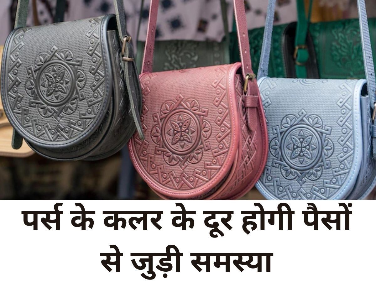 इस रंग का पर्स पैसों से कभी नहीं होता खाली | NewsTrack Hindi 1