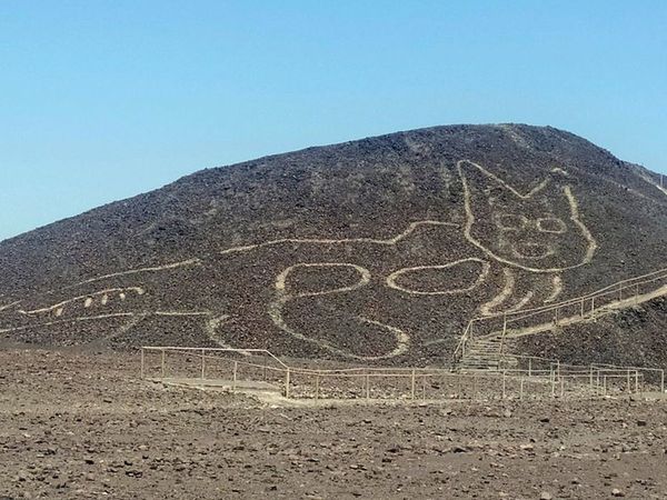 2,000-Year-Old Cat Etching Found at Nazca Lines Site in Peru