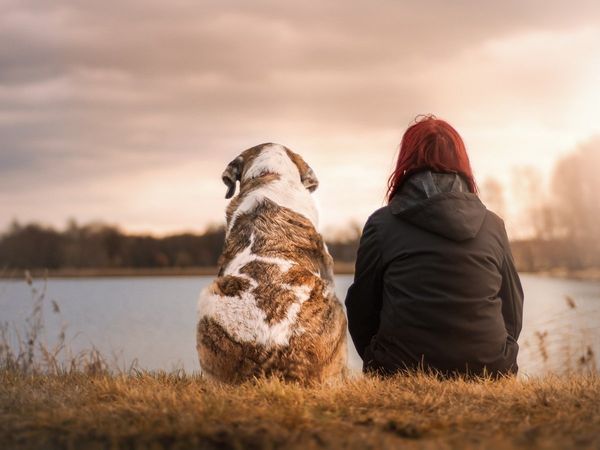 पालतू कुत्ते की मौत से लगा ऐसा सदमा कि युवती ने लगा ली फांसी