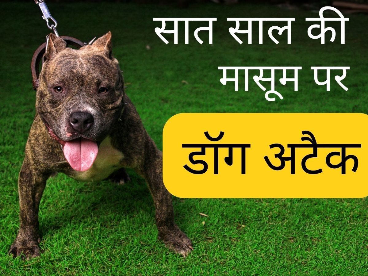 Jaipur Dog Bite Case: जयपुर में सात साल की बच्ची पर पिटबुल अटैक, ऐसा काटा कि हाथ से अलग हो गया मांस