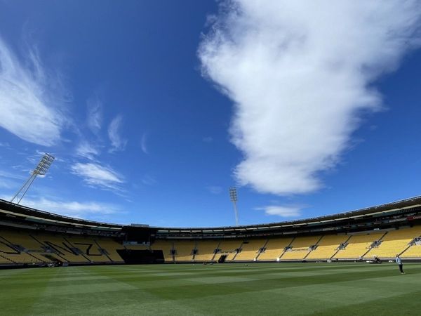 Wellington Pitch report