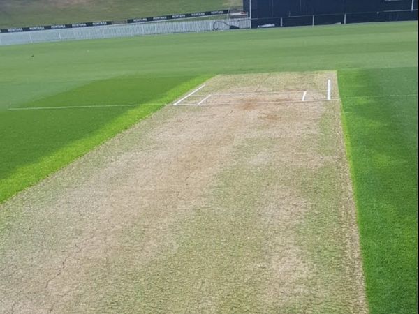 india women vs west indies women pitch report and weather forecast