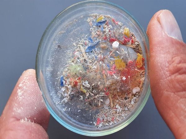 Microplastic in human blood 8 of 10 people's blood sample contain plastic particles for first time
