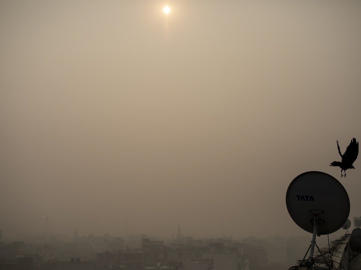 Air Pollution: हरियाणा के 4 शहरों में 17 नवंबर तक स्कूल बंद, निर्माण गतिविधियों पर प्रतिबंध, WFH की सलाह