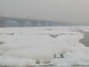  pollution in yamuna river