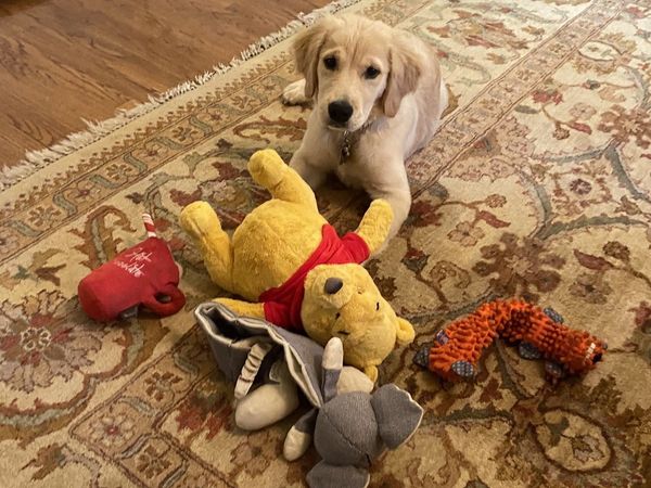 सोशल मीडिया पर छाया पॉम्पिओ का यह ट्वीट, क्‍या चीन के राष्‍ट्रपति पर है निशाना?