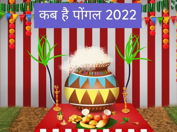 Pongal, Pongal 2022, Pongal 2022 date, Pongal kab hai, Pongal 2022 date in india, Pongal date, Pongal date 2022, Pongal date in india, Pongal in january 2022, when is Pongal, when is Pongal in 2022