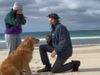 Man Propose Girlfriend But Dog Reaction Goes Viral On Social Media
