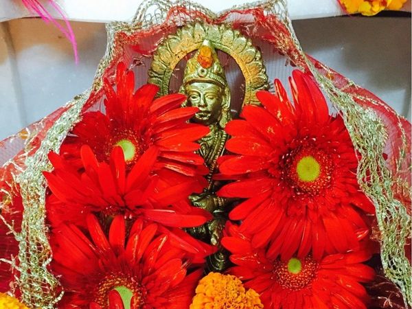 Shattila Ekadashi Niyam