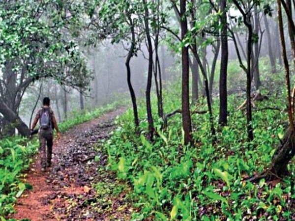  Lonavala Naghphani forest